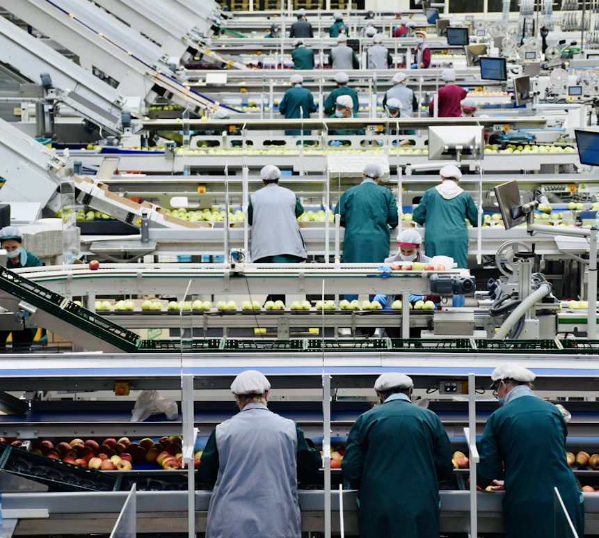 Sistema aplicado en planta